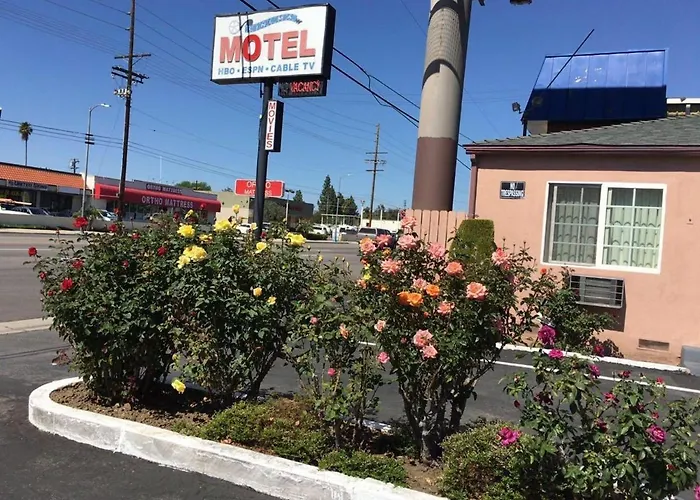 Cinema Motel